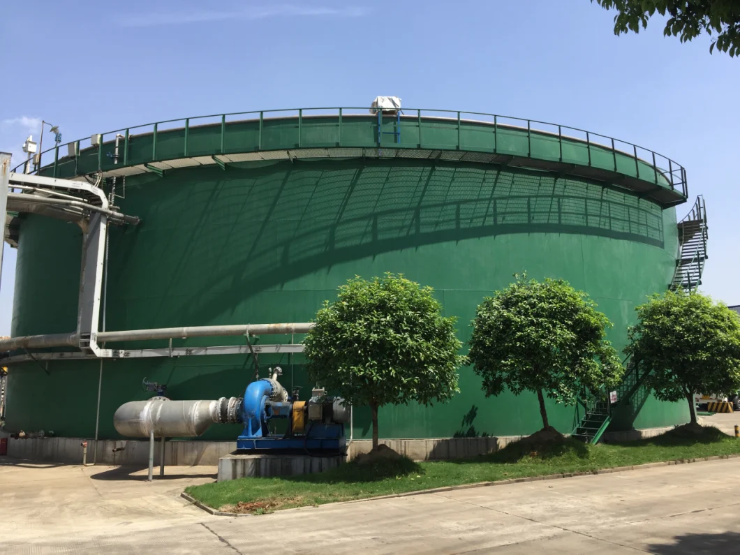 Biogas Project-Biogas Power Plant