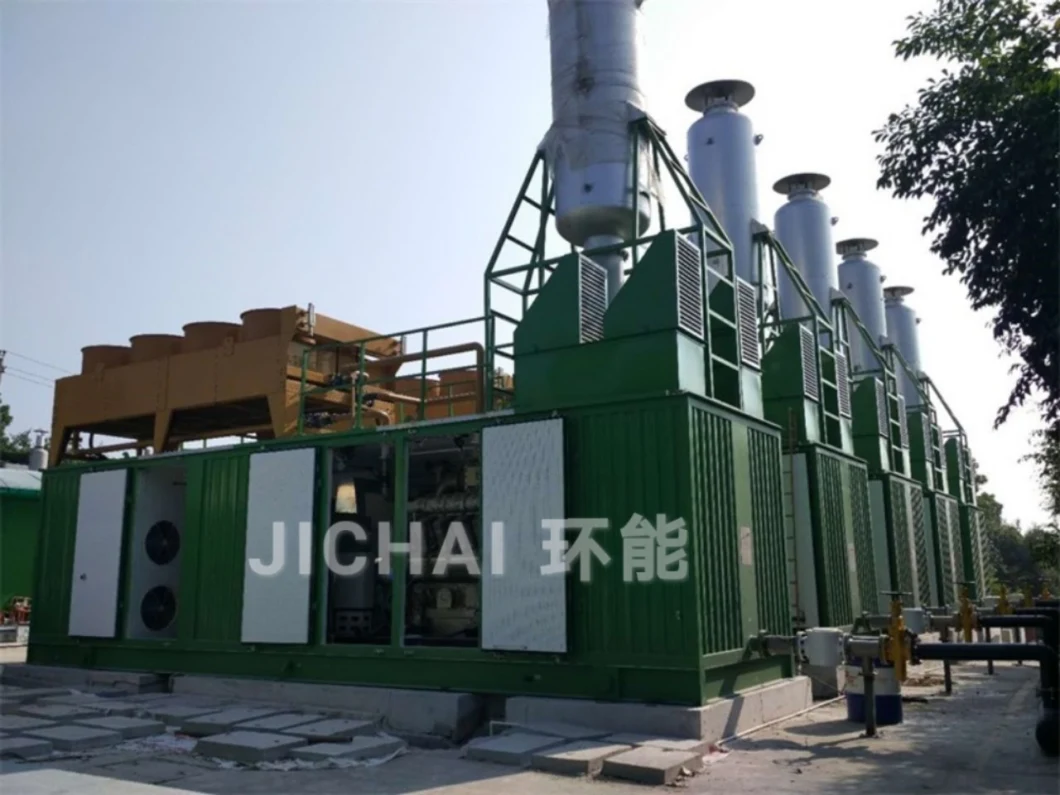 Biogas Gas Generator Set or Electric Generators Prices