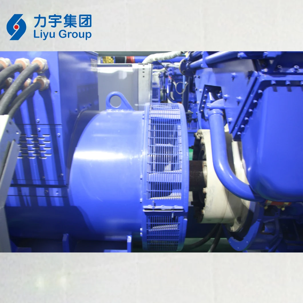 Liyu Gas Power 800kw Low Emission Hv 10.5kv Biomass Gas Engine Generator Set