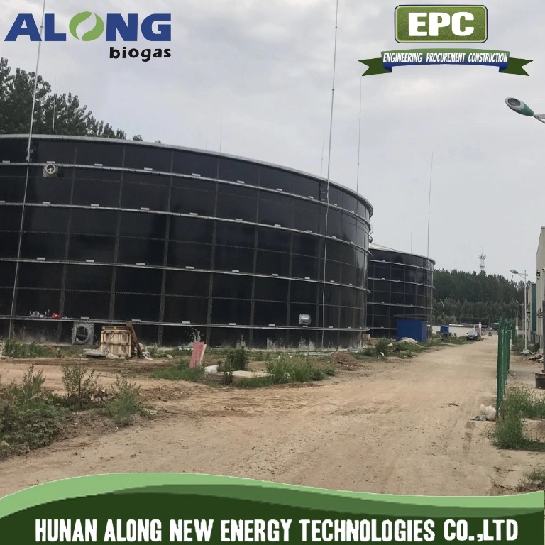 Cstr Reactor Biogas Anaerobic Digester/Fermenter/Producer Power Plant