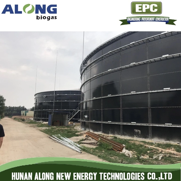 Cstr Reactor Biogas Anaerobic Digester/Fermenter/Producer Power Plant