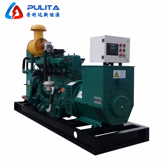 CHP를 갖춘 100kW 바이오가스 엔진 발전기 발전소