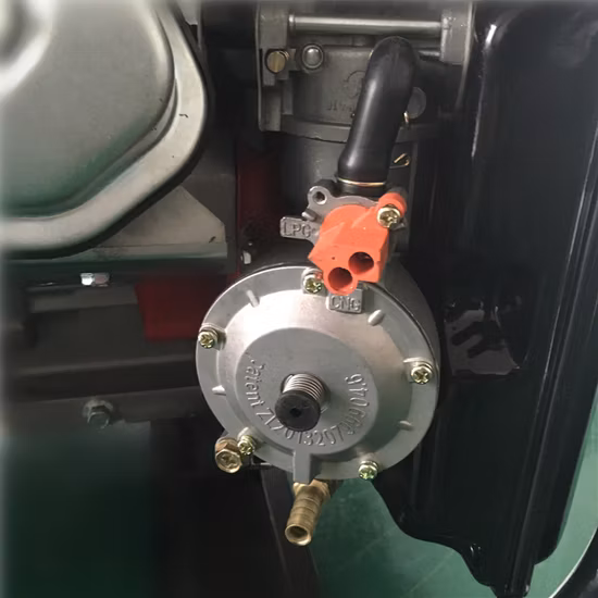 전력 값 5KW LPG 천연 발전기, 바이오가스 전기 발전기, 휴대용 이중 연료 가솔린 LPG 발전기