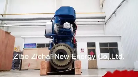 750kW 합성가스 바이오매스 가스 바이오가스 발전소 제조업체