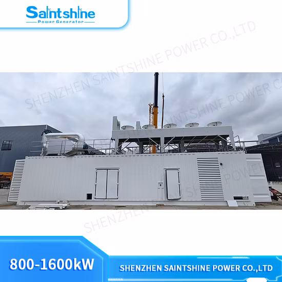 천연가스 엔진/천연가스 발전기/천연가스 발전기 세트