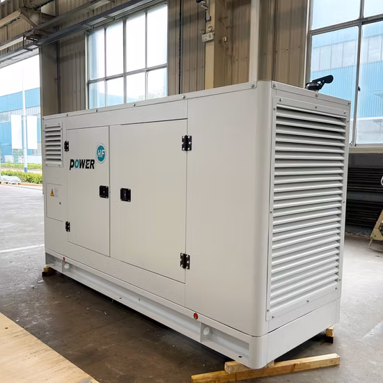 30kW 40kW 50kW 75kW 100kW 120kW 150kW 200kW 250kW 300kW 350kW 400kW Leiser elektrischer Dieselgenerator mit Ricardo-Motor