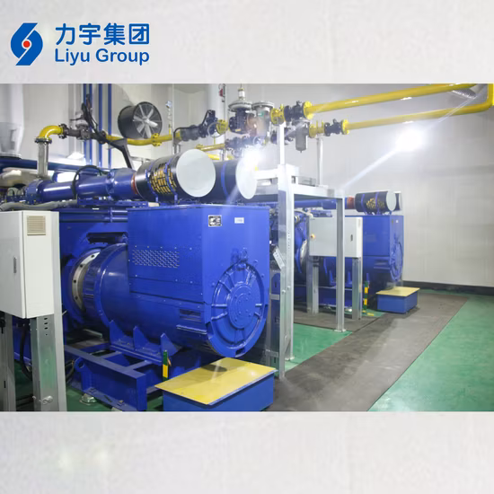 중국 Liyu 0.8MW/800KW 고전압 가스 내연 기관, 에너지 절약형 가스 구동 바이오매스 발전기 세트 제조업체
