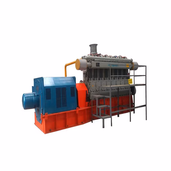 1-5MW 천연가스 바이오가스 합성가스 바이오매스 가스 발전기 세트를 갖춘 발전소