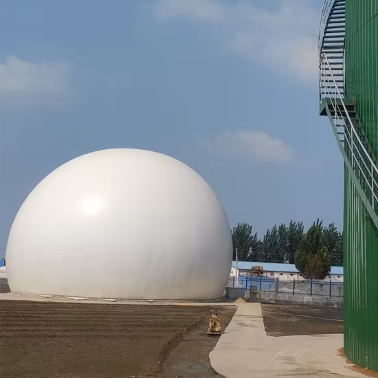 가축분뇨 바이오가스 발전소