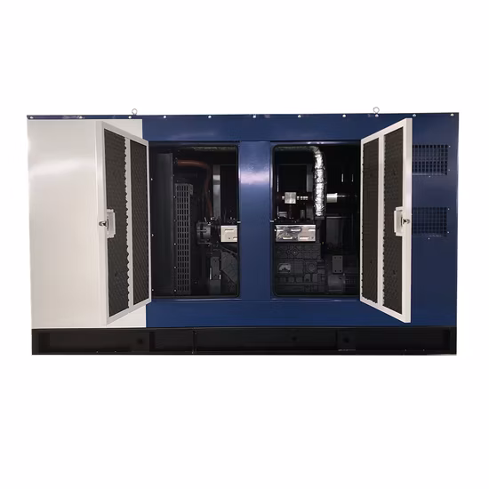 10kW, 50kW, 80kW, 100kW, 120kW, 125kVA, 150kW, 200kW, 250kW, 산업용 무성 천연가스, 바이오가스, LPG 엔진 발전기