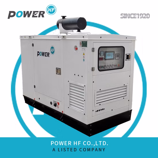 유명한 엔진으로 구동되는 휴대용, 조용한 가정용 30kW 디젤 발전기