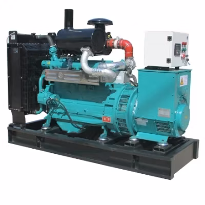 30KW 전문 침묵 천연 가스 CNG 바이오 매스 발전기 발전소 공급 업체